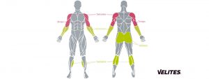 Músculos implicados a la hora de realizar saltos con tu comba para CrossFit